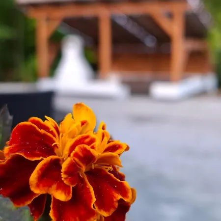 Apartmán Nad Tajovom *